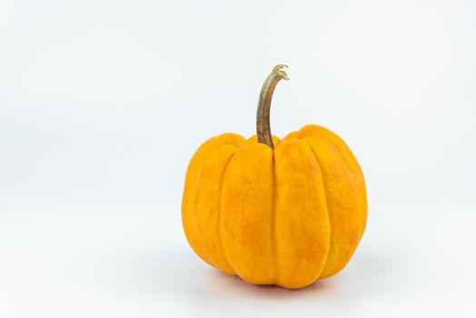 Halloween Pumpkin isolated on white background