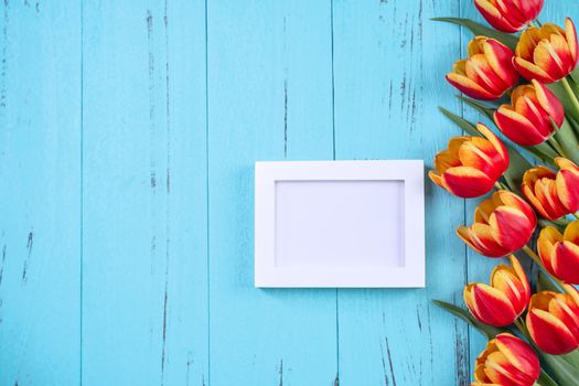 Tulip flower bunch, photo frame, Mother's Day Concept - Beautiful Red, yellow bouquet, white blank picture template isolated on blue wooden background, top view, flat lay