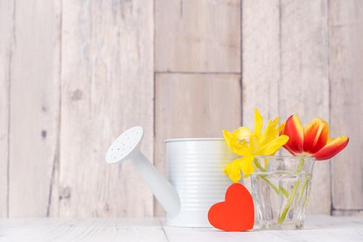 Tulip flower arrangement in glass vase with heart greeting, watering can decor on wooden table background wall, close up, Mother's Day design concept.