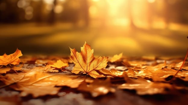 Autumn yellow leaves on the ground. Beautiful background for your design