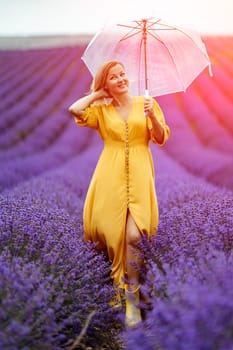 Woman lavender field. A middle-aged woman in a lavender field walks under an umbrella on a rainy day and enjoys aromatherapy. Aromatherapy concept, lavender oil, photo session in lavender.