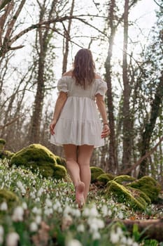 Snowdrops galanthus woman. She stands in a white dress on a meadow with snowdrops in a spring forest.