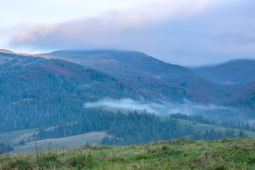 Early morning in summer Ukrainian Carpathians. Cloud over mountains and light fog between wooded hills