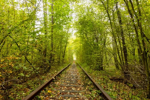 Summer day in the Rivne region of Ukraine. Tunnel of love in Klevan. Railroad and overcast