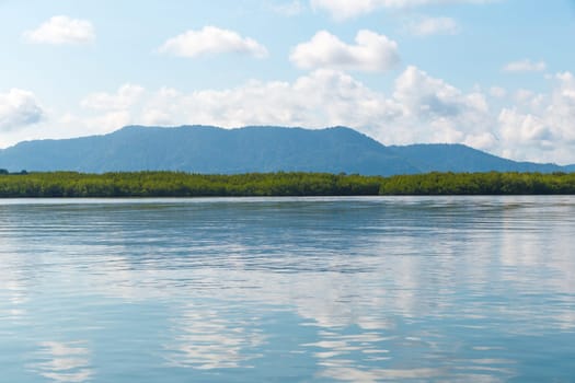 Summer forest river range landscape.