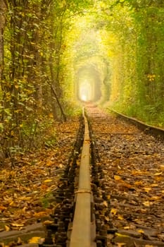 Tunnel of love in summer Ukraine. Rovenskaya region. Railway in dense deciduous forest. View from rail level