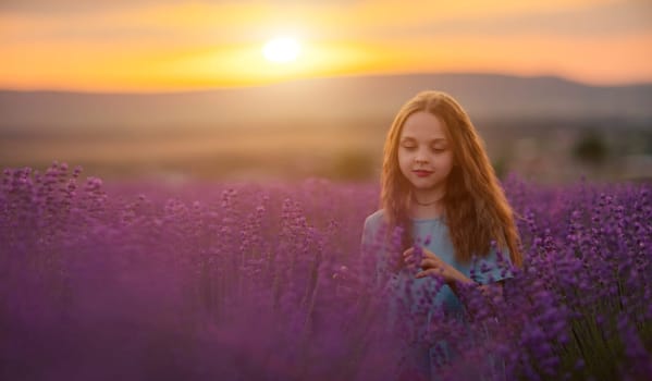 Girl lavender sunset. Girl in blue dress with flowing hair walk on the lavender field