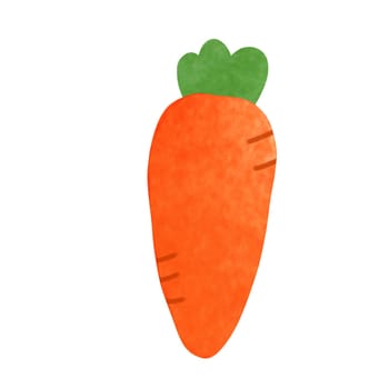 Drawing of a carrot isolated on white background for vegetables, fruits and food concept