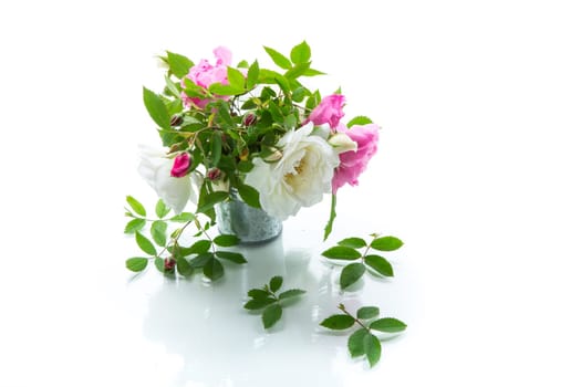 Small bouquet of beautiful summer pink and white roses, isolated on white background.