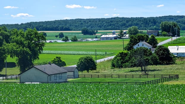 A View of a One Room School House in the Middle of Freshly Planted Farm Fields on a Beautiful Summer Day