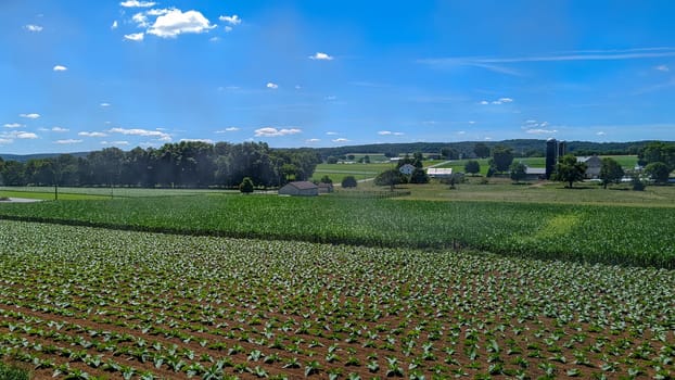 A View of a One Room School House in the Middle of Freshly Planted Farm Fields on a Beautiful Summer Day