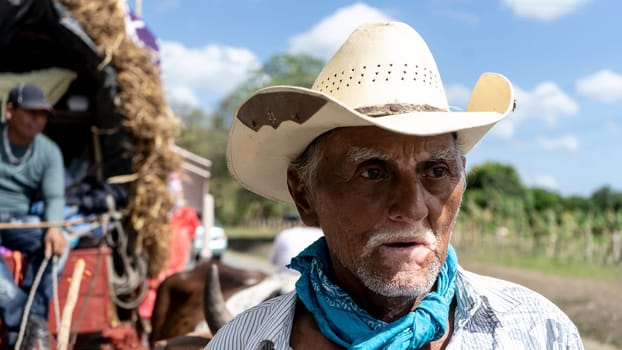 Old peasant with vitiligo driving a cart pulled by oxen