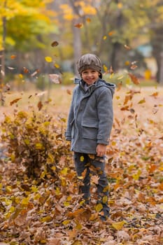 Caucasian boy in a gray coat and beret in the autumn forest. Autumn Walk