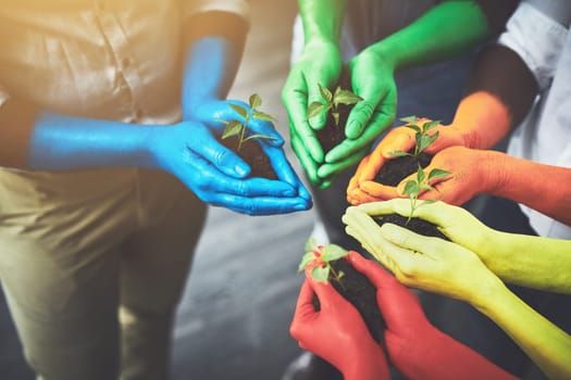 Lets take the time to help out. unrecognizable people holding budding plants in their multi colored hands
