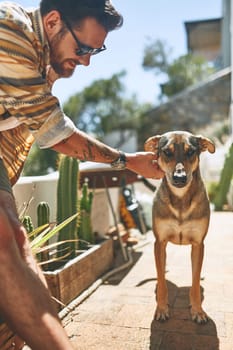 Who wants to go for a walk. a cheerful young man petting his dog outside of his home during the day
