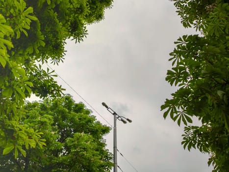 street light with green tree in the city on the clouds background. led lamp