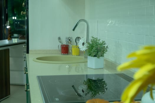 kitchen sink and vegetables. New modern kitchen interior. kitchen background