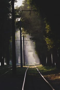 Railroad with sunbeams and fog at sunset. Industrial landscape with railway, trees and grass, yellow sunlight. Heavy industry. Railways.Thailand
