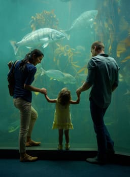 Aquarium, family and holding hands while looking at fish for learning, care and vacation, bonding or education. Mother, fishtank and girl with father watching marine life underwater in oceanarium.