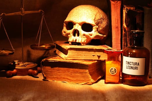 Nice vintage still life with human skull near balance and books