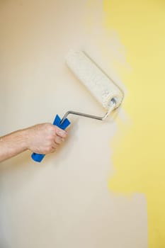 Professional wall painting, roller painting on interior walls. Renovation concept
