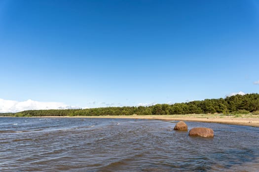 Panorama view of the sea bay and pine forest and blue sky and stones on the sandy shore. Beautiful landscape. Gulf of Finland. Baltic