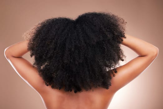 Hair, black woman with afro and beauty, haircare and natural cosmetics, back on studio background. Female, cosmetic treatment with curly hairstyle, rear view and texture, person arms with grooming.