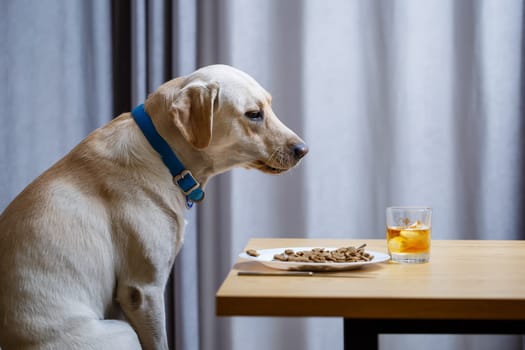 The dog wants food on a plate, but does not have permission from its owner. And since he understands what the word NO means, he does not touch food