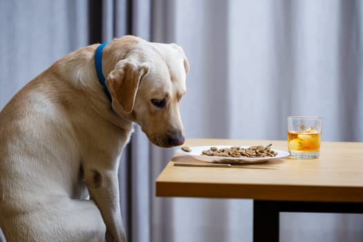The dog wants food on a plate, but does not have permission from its owner. And since he understands what the word NO means, he does not touch food
