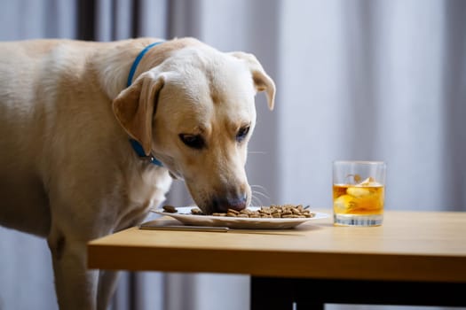 The dog wants food on a plate, but does not have permission from its owner. And since he understands what the word NO means, he does not touch food
