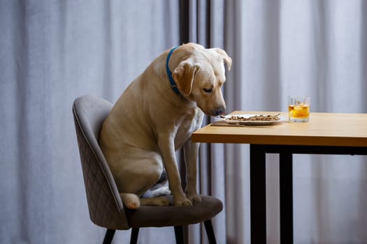 The dog wants food on a plate, but does not have permission from its owner. And since he understands what the word NO means, he does not touch food