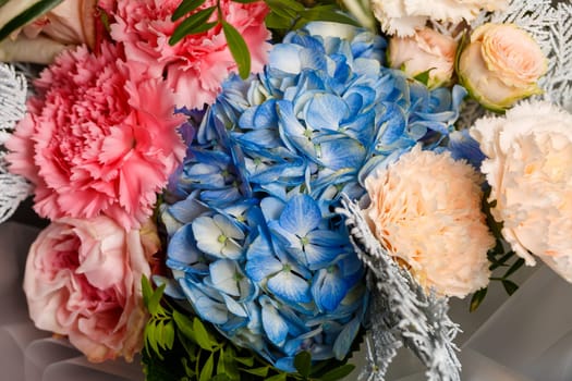 Live beautiful flowers close-up. Flowers with large petals