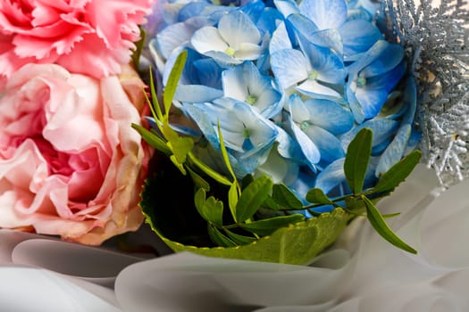 Live beautiful flowers close-up. Flowers with large petals