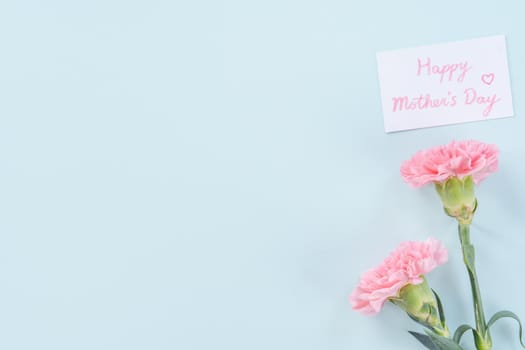 Beautiful, elegant pink carnation flower over bright light blue table background, concept of Mother's Day flower gift, top view, flat lay, overhead