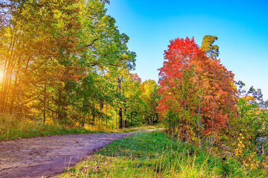 The alley of the autumn park . The season is autumn. September, October, November. A new season. Yellow leaves. A beautiful park. Morning light. Morning autumn Park. Nature