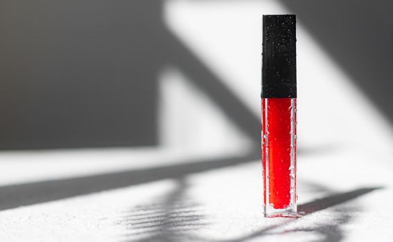 Lip gloss and sun shadow . The concept of lip gloss without labels. Decorative cosmetics. Lip care. Copy space