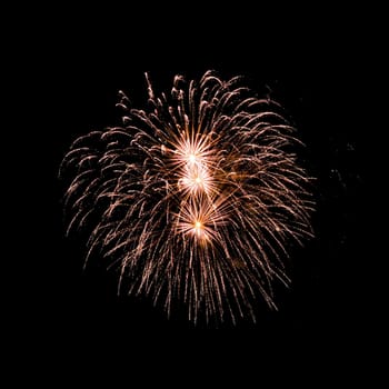 Colorful fireworks isolated on black sky background.