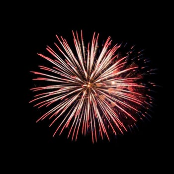 Colorful fireworks isolated on black sky background.