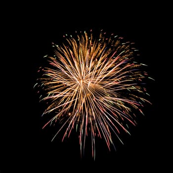 Colorful fireworks isolated on black sky background.