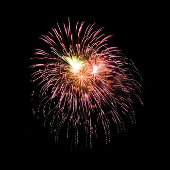 Colorful fireworks isolated on black sky background.