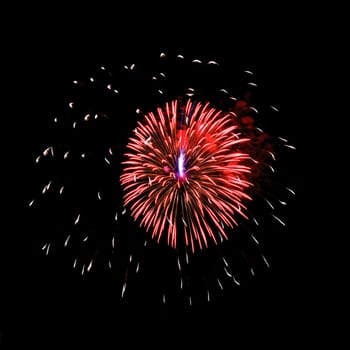 Colorful fireworks isolated on black sky background.