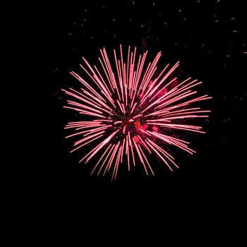 Colorful fireworks isolated on black sky background.