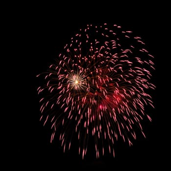 Colorful fireworks isolated on black sky background.