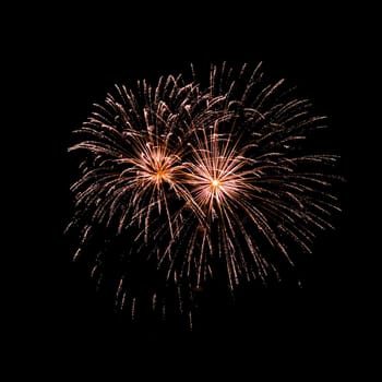 Colorful fireworks isolated on black sky background.