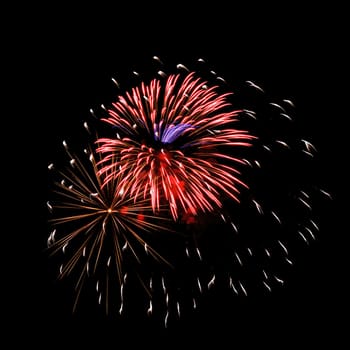 Colorful fireworks isolated on black sky background.