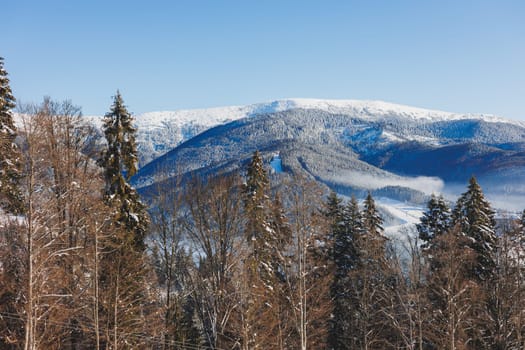 Winter landscape of snowy mountains with winter forest. Winter landscape