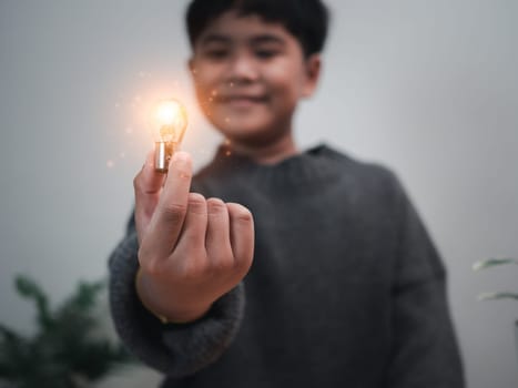 The boy is holding a light bulb. It represents the concept of education, learning, innovation, and success.