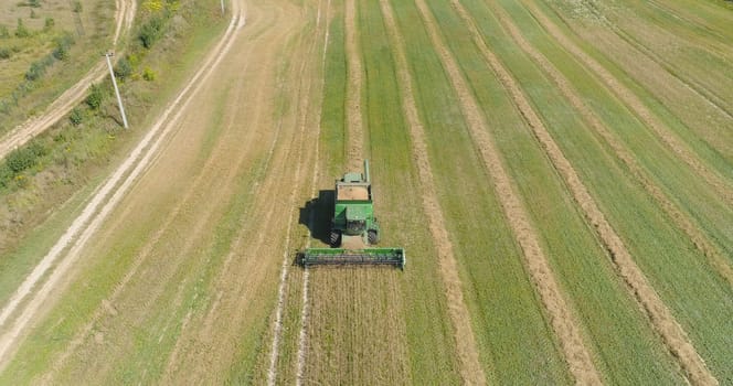 Combine harvester at work harvesting field wheat. Aerial view Combine harvester mows ripe spikelets, barley, rye. Combine harvester harvest ripe wheat on a farm.