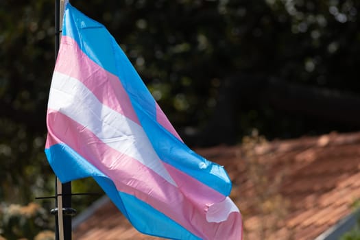 A transgender flag outdoors at the pride month. Mid shot