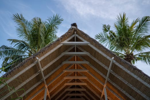 Roof surrounded by two tall palm trees, under a bright blue sky with scattered white clouds, emanates peacefulness and tranquility